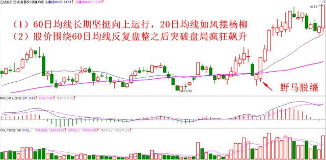 附近哪里有电容厂招工最新走势与趋势预测