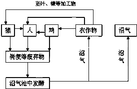 过滤工艺技术