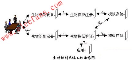 生物识别技术的基本原理