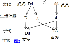 脂环烃性质与什么相似