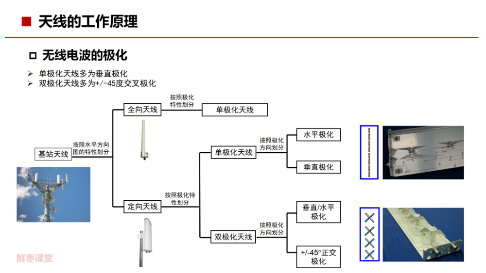 cod检测仪的原理图