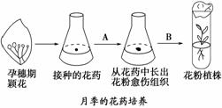 爬胶现象