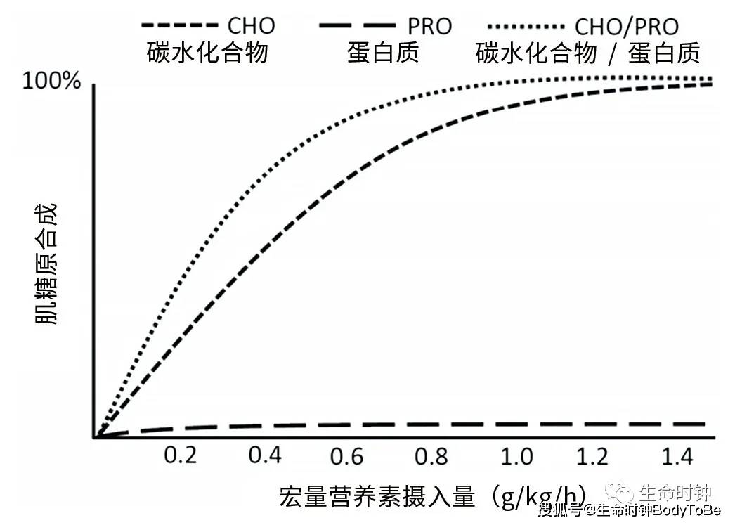 碳水化合物合成