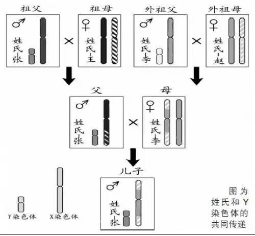 包装检测设备与紫铜性能的关系