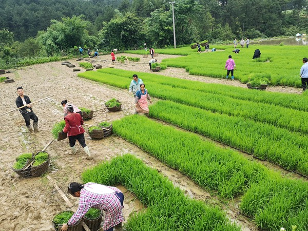 体育在新农村建设中的地位